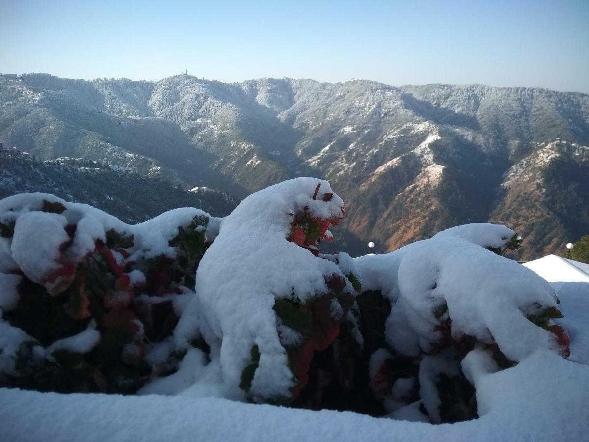 Spangle Heights Shimla, Suites And Residences Buitenkant foto
